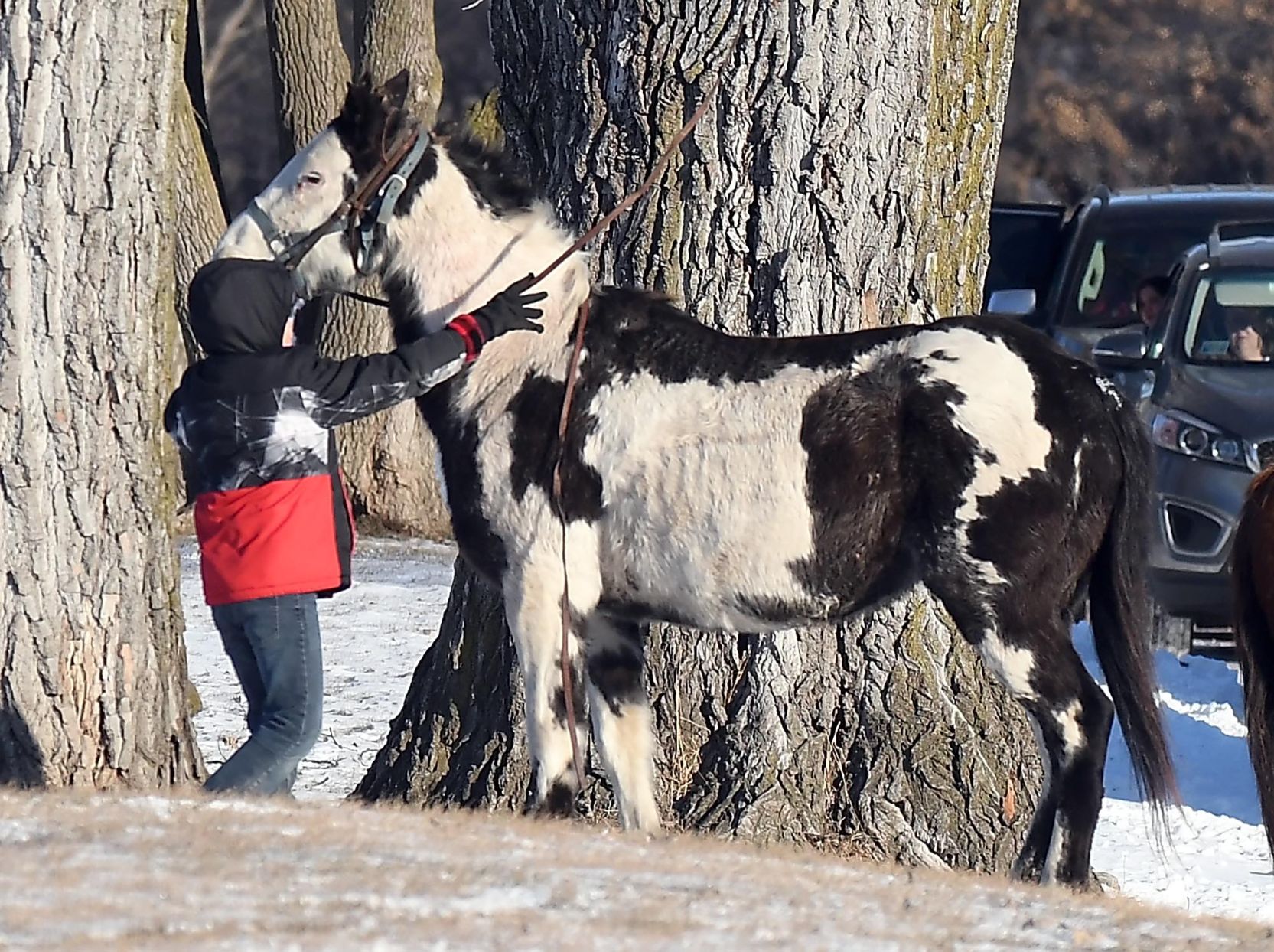Dakota riders 4